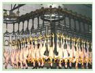 Poultry slaughtering line (equipment)