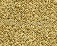 yellow milet