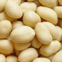 Blanched peanut / Groundnut kernel