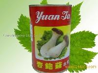 Canned Monkey-head Mushroom
