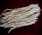  Organic  Pilose Asiabell  Root 