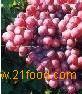 Grape Seed Extract