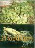 Ginseng Extract