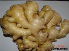 Fresh ginger
