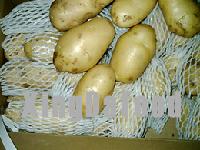 potato