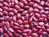 red kidney beans