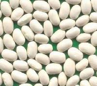 Japan white kidney beans