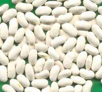  light   white   kidney   bean 
