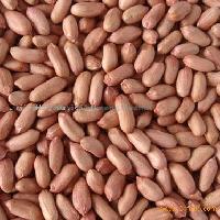 Peanut kernels (long shape)