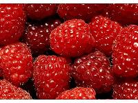 IQF wild raspberry