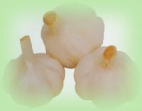 Dried Garlic