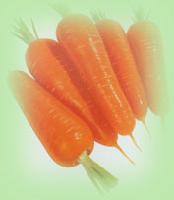 Dried Carrot