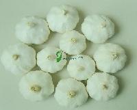 White garlic