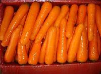  fresh   carrot 