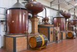 FRENCH BRANDY in BULK