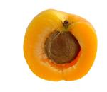 Apricot Puree Turkish  origin  505  EURO /MT