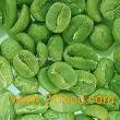 Green coffee bean extract