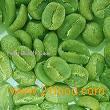 Green coffee bean extract