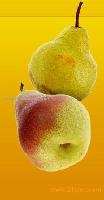 Pear Juice Concentrate