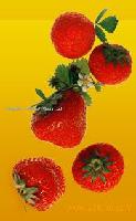 Strawberry Juice Concentrate