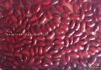 Canned red kidney beans
