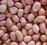 peanut kernels