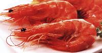 HEADON  COOKED   SHRIMP 