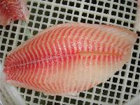Tilapia Fillet