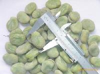 Frozen broad bean