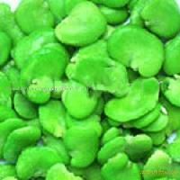 IQF broadbean kernel