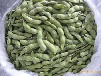 IQF  soybean  in pod
