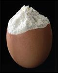 Whole Egg Powder