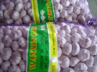 fresh garlic