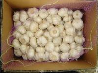 pure white garlic