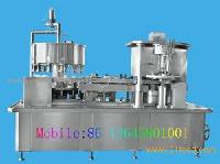 Can filling machine