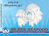 Jelly fish