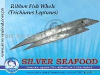 FROZEN RIBBON FISH