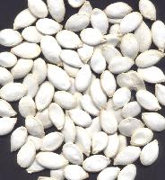 Snow white pumpkinseeds