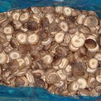 Frozen champignon mushroom