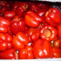 IQF  Red   Capsicum 