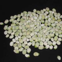 IQF Broad Beans
