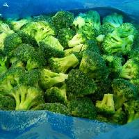 IQF broccoli