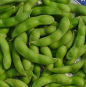  IQF   Soy  Bean  Pods 