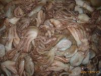 octopus seafood aquatic products