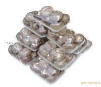 Fresh shiitake
