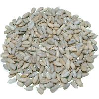 Sunflower Kernels