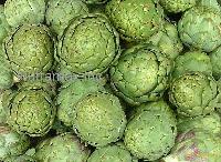 Artichoke extract