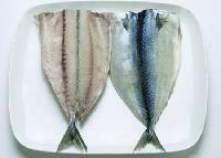 Frozen Mackerel Butterfly Fillet
