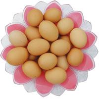  Fresh   Hen   Egg 