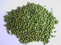 Mung Bean